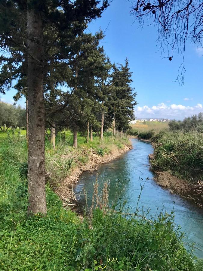 Vardis Olive Garden Georgioupoli Exterior foto